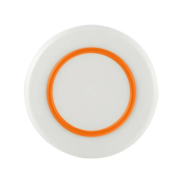 Palm Sorona Large Plate With Orange 25cm