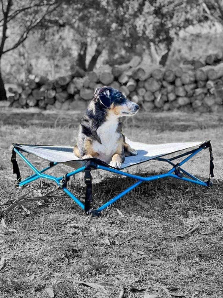 Navigator Dog Bed - Image 4